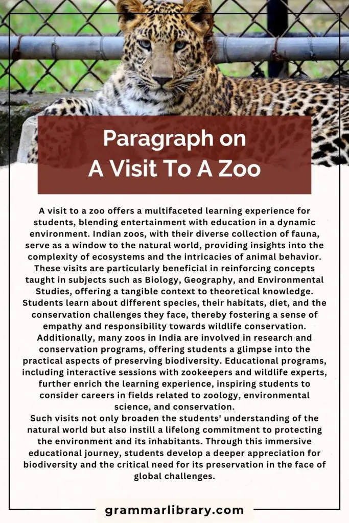 Paragraph on A Visit To A Zoo