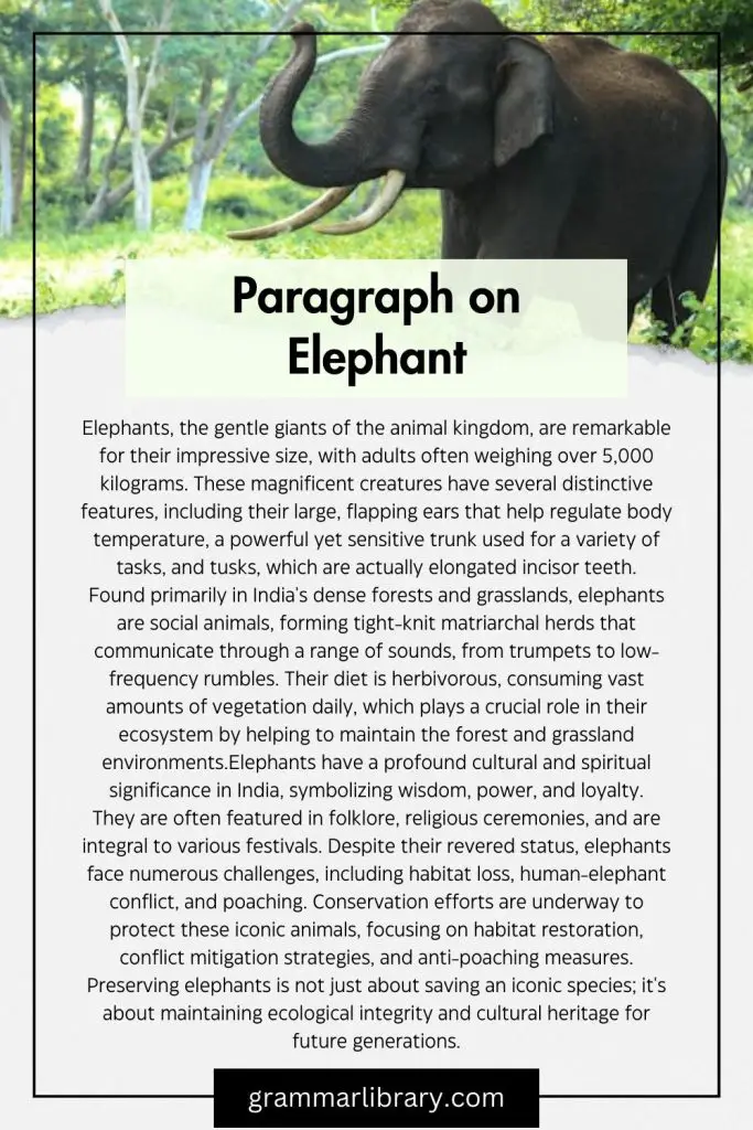 Paragraph on Elephant