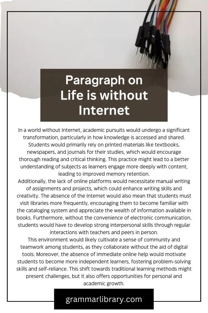 Paragraph on Life is without Internet